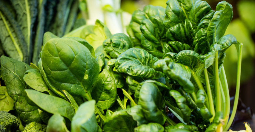 Polykultúry: výsev zmiešanej kultúry zeleniny pre bohatú a zdravú úrodu 