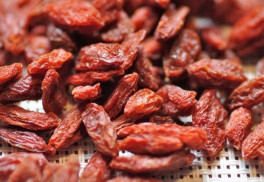 Ker s liečivými plodmi – goji alebo kustovnica čínska