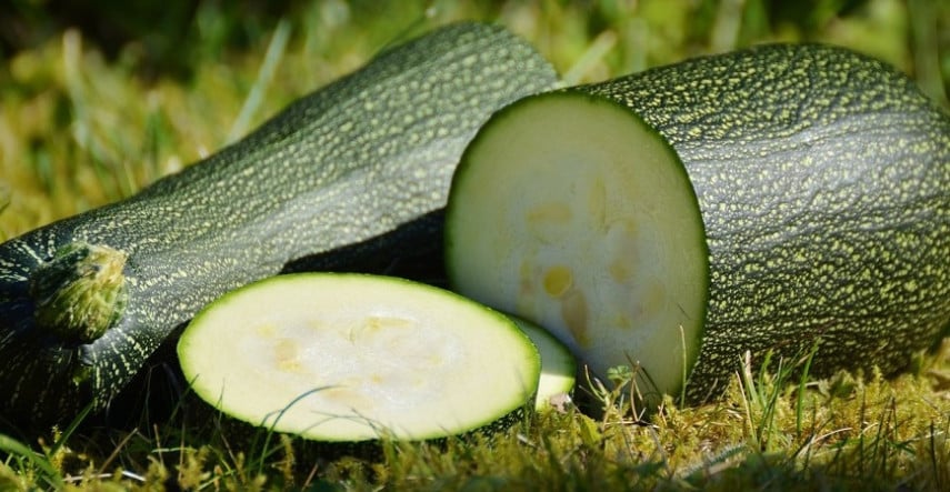 Aké cukety pestovať a čo robiť, keď „nerastú“?