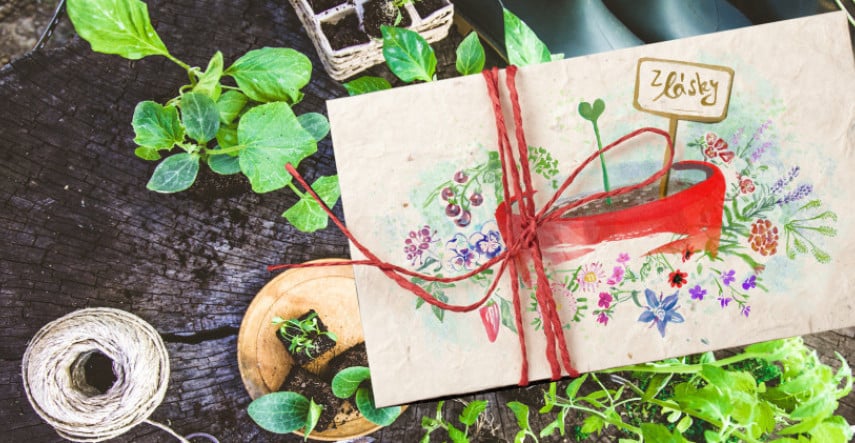 Záhrada je láska! Valentínsky darček, ktorý vyrastie a poteší