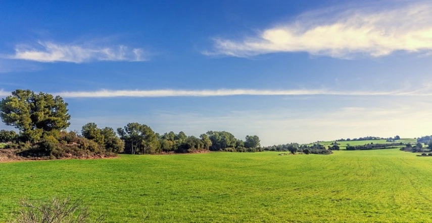 Jar už klope na dvere, je čas na starostlivosť o trávnik