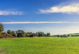 Jar už klope na dvere, je čas na starostlivosť o trávnik