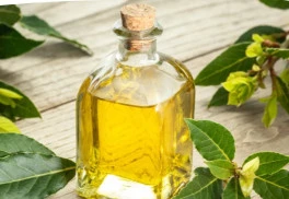 Olej z bobkového listu pomôže na boľavý chrbát a kĺby