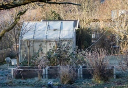 Čo január zameškal, to február doháňa. Čomu sa venovať v záhrade?