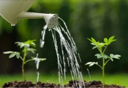 Marec a apríl je časom vhodným na ochranu rastlín