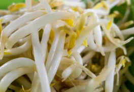 Naklíčené semená spestria letný jedálniček