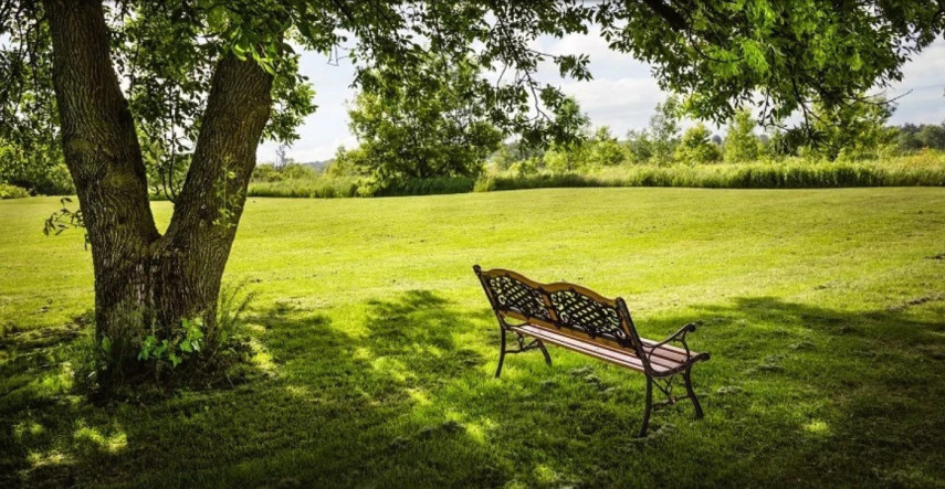 Ako sa o trávnik postarať pred zimou, aby prežil ďalšiu sezónu?