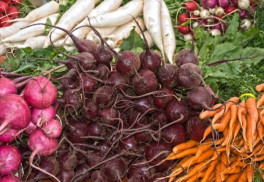 Kedy začať so zberom koreňovej zeleniny? Ako ju správne uskladniť?