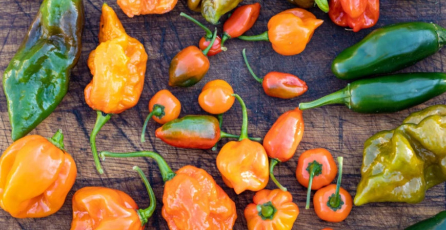 Chilli papričky sú zdravé. Prečo vlastne tak pália?