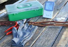 Čo robiť vo februári na záhrade?