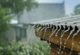 Dažďová voda - prírodný zázrak