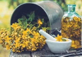 Na letný ľubovník narazíte aj vo voľnej prírode