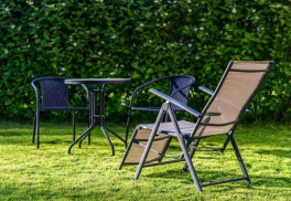 Zeleninová záhrada v júni