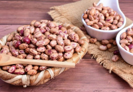 Fazuľa – pnúca, kríčková aj okrasná