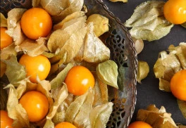 Machovka peruánska: prírodné lampiónky rozžiaria každú záhradu