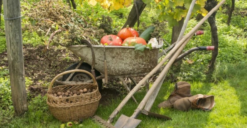 Pomocníci do záhradky