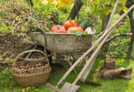 Pomocníci do záhradky