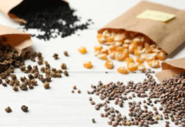 Ako správne uchovávať semená