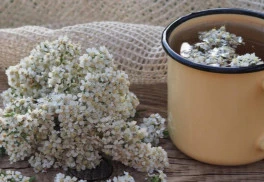 Všetko, čo by ste mali vedieť o rebríčku