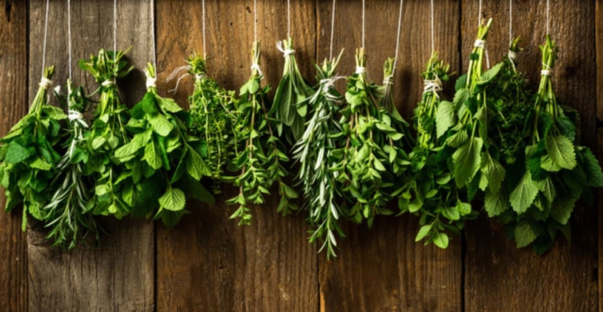 Záhradná aromaterapia