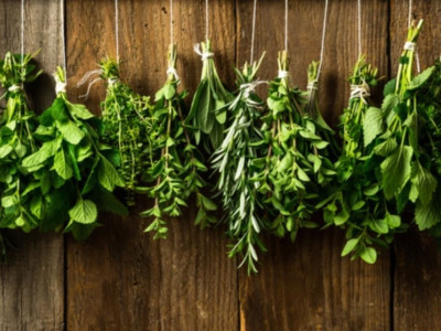 Záhradná aromaterapia