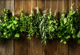 Záhradná aromaterapia