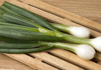 Viete ako pestovať cibuľu zimnú?