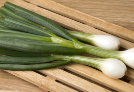 Viete ako pestovať cibuľu zimnú?