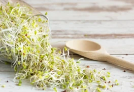 Vypestujte si doma zdravé klíčky semien, je to ľahké!