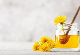 Dotieravá burina alebo užitočná liečivka?