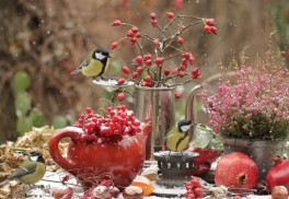 Pripravte záhradu na zimu, je najvyšší čas