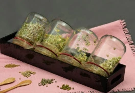 Obohaťte svoj organizmus o vitamíny z klíčkov a výhonkov