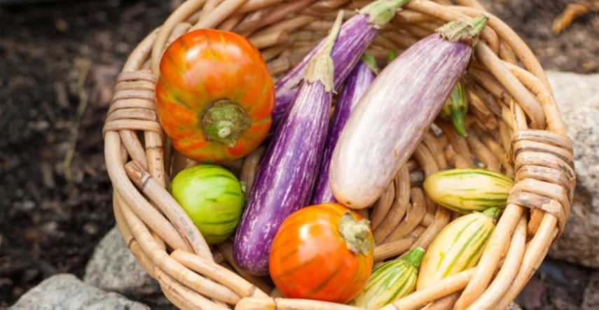 Novinky zo sveta zeleniny