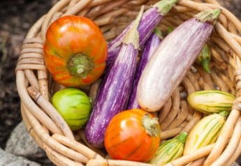 Novinky zo sveta zeleniny