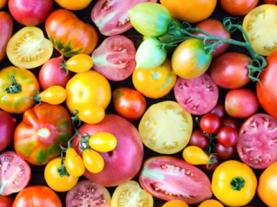 Vypestujte rozmanitosť - novinky semien paradajok tohtoročnej sezóny
