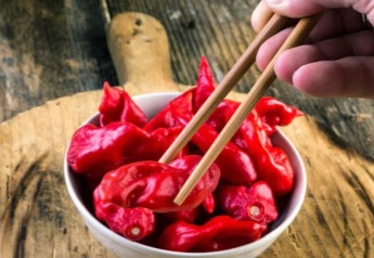 Bhut jolokia chilli – diabolské čili