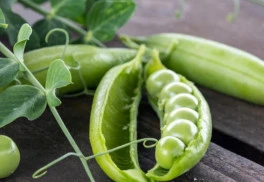 Hrach siaty – aké druhy vysiať a ako na jeho pestovanie?