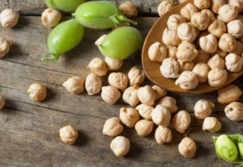 Pestovanie cíceru – všetko čo potrebujete vedieť