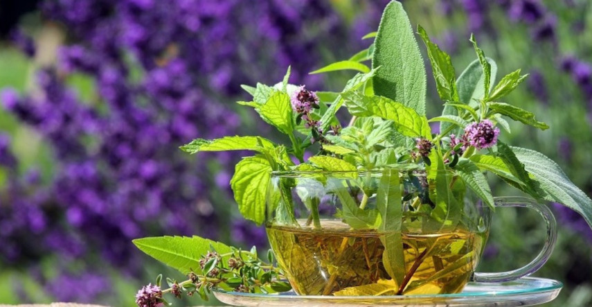 Bylinky pre lepší spánok