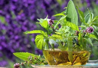 Bylinky pre lepší spánok