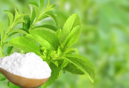 Ako si doma vypestovať stéviu