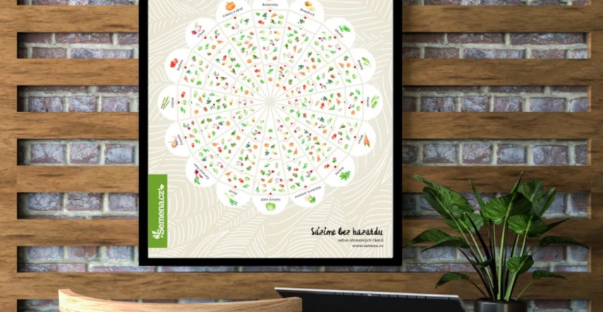 Plánovanie zeleninových záhonov