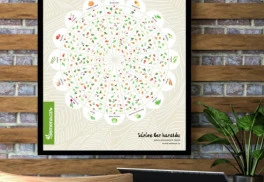 Plánovanie zeleninových záhonov