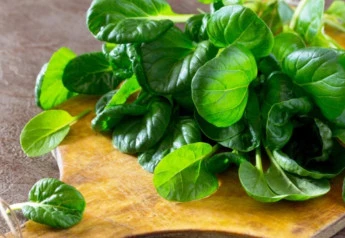 Vypestujte si krehké listy špenátu