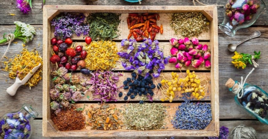 Bylinky prinášajúce radosť i úžitok