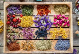 Bylinky prinášajúce radosť i úžitok