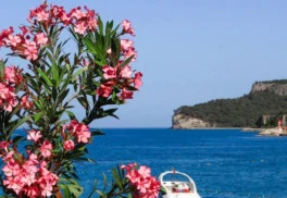 Kvety dýchajúce letom