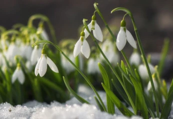 Záhradníkov február