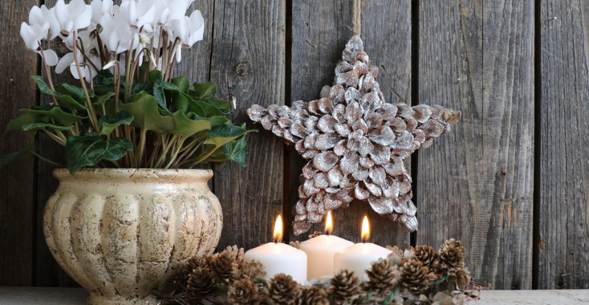 Kvitnúce biele izbové rastliny navodia nielen vianočnú atmosféru