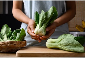 Rýchla listová zelenina Pak choi: pestovanie pre začiatočníkov
